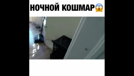 А вы боитесь пауков?🕷😅👇🏻
#ptencoff