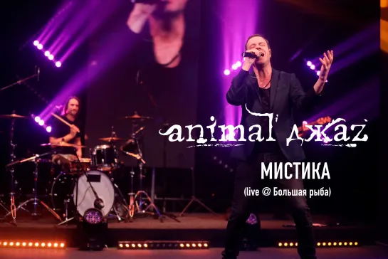 Animal ДжаZ — Мистика (Live @ Мой музыкальный)