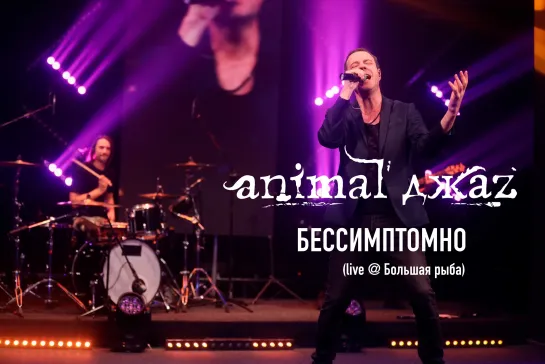 Animal ДжаZ — Бессимптомно (Live @ Мой музыкальный)