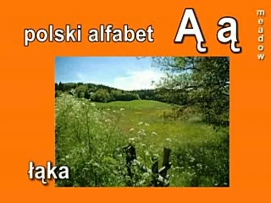 POLSKI ALFABET