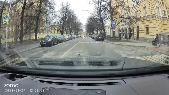 Петербургская ворона соблюдает ПДД