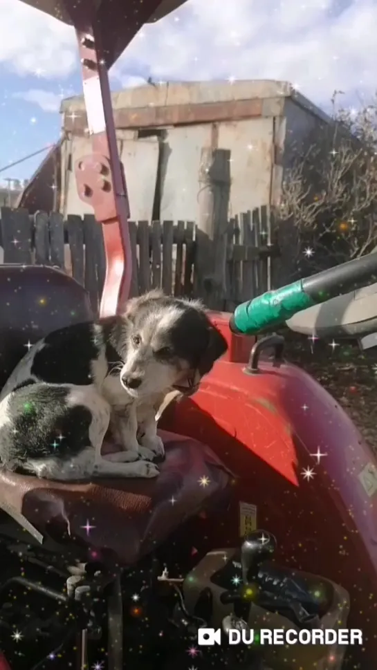 Айза поехала на  дискотеку