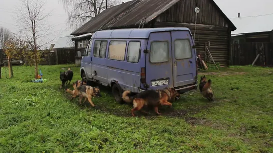 Попробуй нас сосчитать!