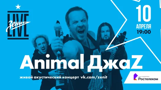 Animal ДжаZ: живая акустика / «Зенит Live»