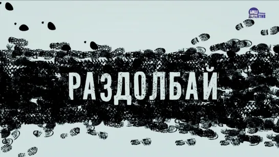 Раздолбай (2011)