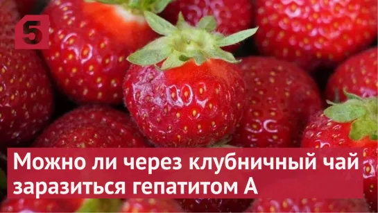 Можно ли через клубничный чай заразиться гепатитом А