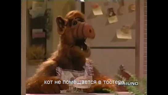 Alf - 1x11 - Una Vacanza Sfortunata