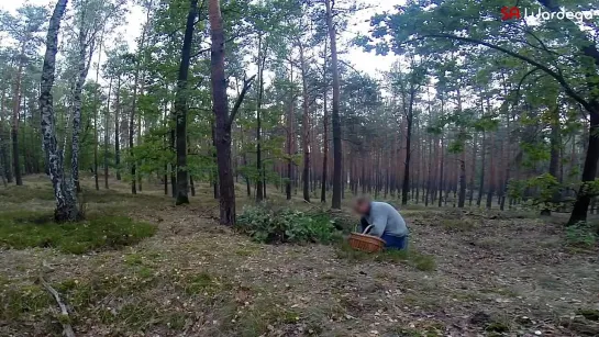 Зомби-Апокалипсис Хэллоуин (Розыгрыш от 30 октября 2014) Prank SA Wardega