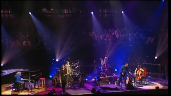 David Gilmour  Bob Geldof- Comfortably Numb (Royal Festival Hall Concert)