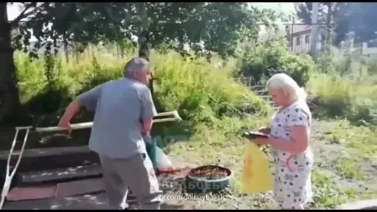 Видео от КРЕВЕТКА