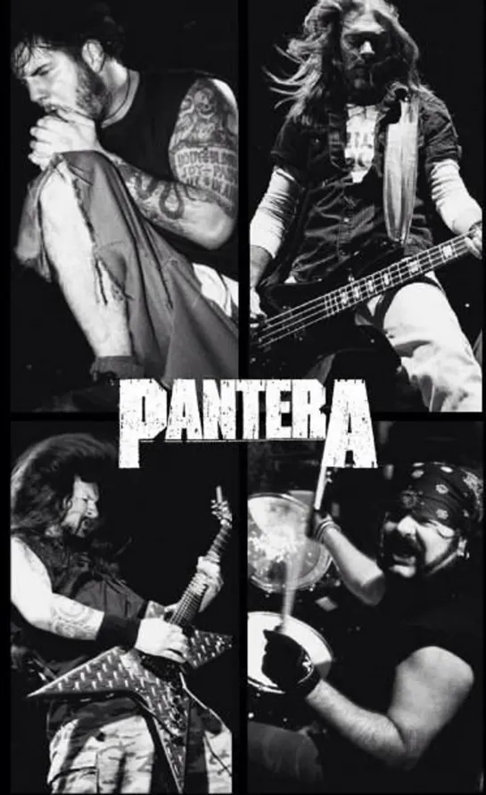 Pantera