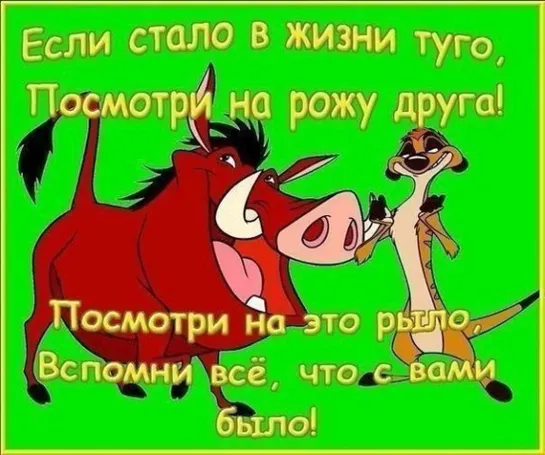 Посмотри на рожу друга 😜😉► Позитив ♛◄ ╬₪🤣😉●👍🏻