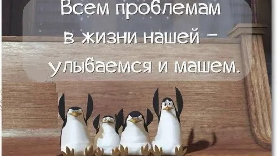 Flying Penguins _ World Penguin Day _ BBC