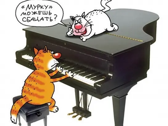 Четверолапый пианист ♛ 🎹🐶► #Юмор ◄ ╬₪🐩🎹🐶●👍🏻 #Прикол