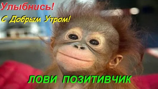 ✅🌞 ДОБРОЕ УТРО!💖😜☕🙏