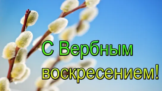 🌿🕊️ Я Веточку Вербы Тебе Посылаю На Счастье!🕊️🌿 Очень красивое пожелание. С Добрым утром!