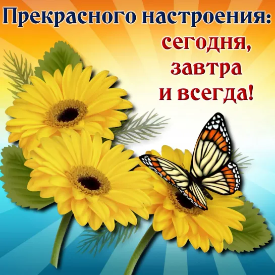 Пожелания от всей души 💖🕊🌞💖 Доброго Утра! 🕊💖🎶 Хорошего дня!