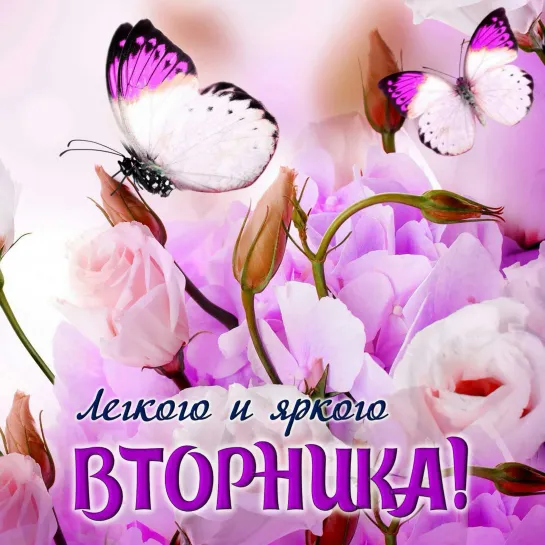 Пусть этот Вто́рник!☕🌞🦋  Будет Ярким и Легким! 💦🦋🌼🌸🐞