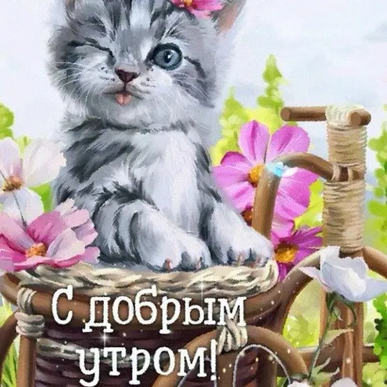 ДОБРОЕ УТРО! ✩🎶💎💖✨★♛✦ Моя любовь ❤✦♛★✨💖💎🎶