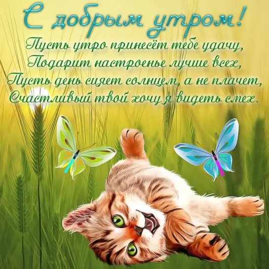 ◄╬₪✨😂 😜 Доброе утро! 😄 •✨🤣✨₪╬►