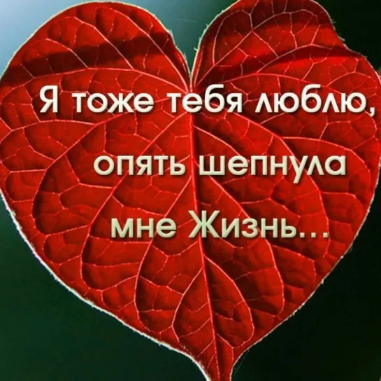 Жизнь! ✩💎ஜ♛ஜ💖★ Жить! не смотря ни на что! ★💖ஜ♛ஜ💎✩