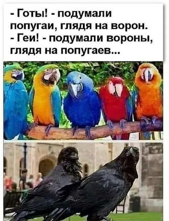 💥😉🤣₪╬► Смешно до слез ◄╬₪🤣😉💥ஜ🤣