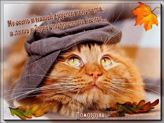 Привет ஜ═◦✿◦.¸🍁¸.◦✿ஜ 🍂🍁 от ОСЕНИ 🍁🍂 ஜ✿◦.¸🍁¸.◦✿◦═ஜ