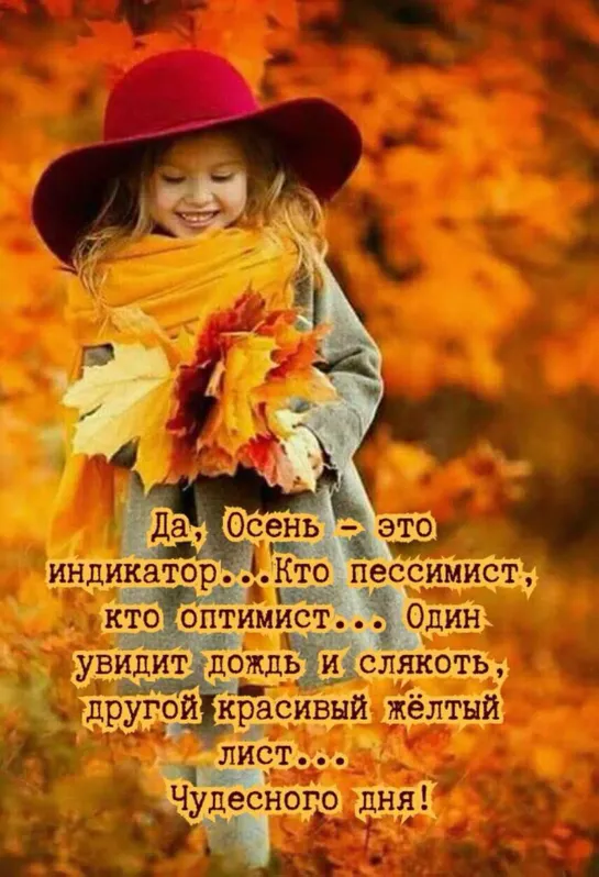 ஜ═◦✿◦.¸🍁¸.◦✿ஜ 🍂🍁 Осенний денек 🍁🍂 ஜ✿◦.¸🍁¸.◦✿◦═ஜ