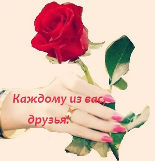 За дружбу ✨💕ஜ۩۞۩ஜ💎★ Спасибо ★💎ஜ۩۞۩ஜ💕✨