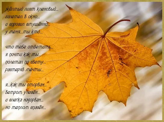 ஜ═◦✿◦.¸🍁¸.◦✿ஜ 🍂🍁   Осень  🍁🍂 ஜ✿◦.¸🍁¸.◦✿◦═ஜ