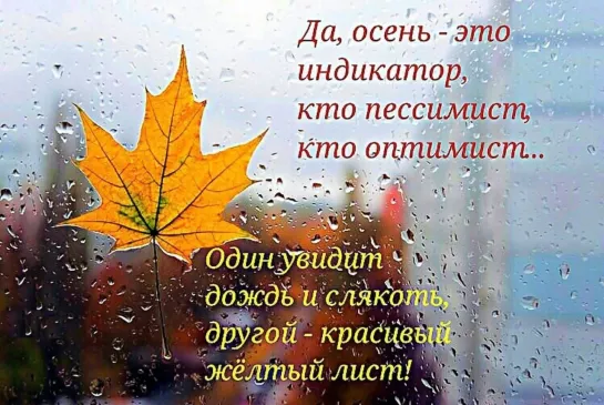 Осень ஜ═◦✿◦.¸🍁¸.◦✿ஜ 🍂🍁 Индикатор 🍁🍂 ஜ✿◦.¸🍁¸.◦✿◦═ஜ