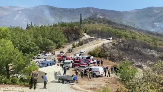 Видео от Консерватор