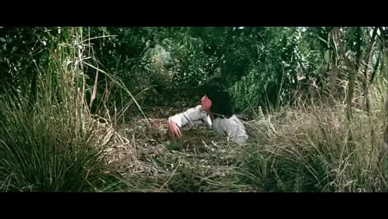 Молодой мастер / The Young Master / Shi di chu ma (1980) BDRip