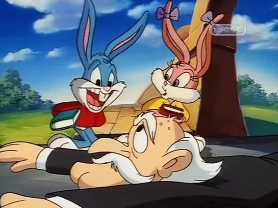 Приключения мультяшек (Tiny Toon Adventures) - 3 Сезон, 19 серия