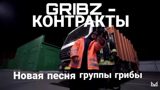 Gribz контракты