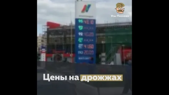 цены на дрожжах