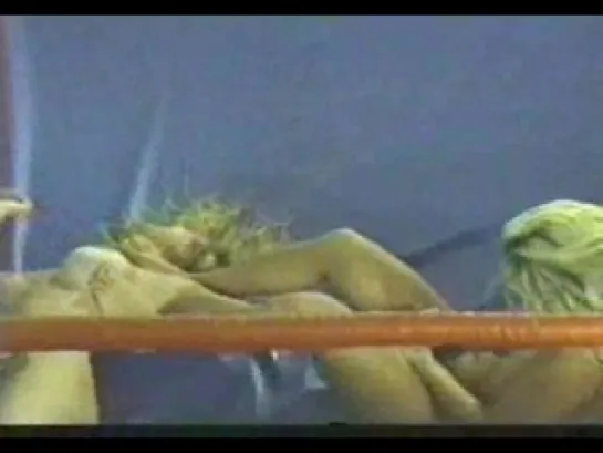 Bikini_clad_bitches_wrestling_in_the_wrestling_ring