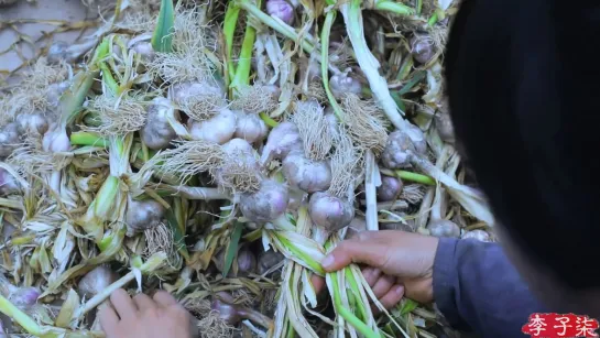 Ли ЦзыЦи - ДЕВУШКА С ХАРАКТЕРОМ! 💖 Чеснок ''Суань'' (лат. Allium sativum), либо ''ДаСуань'' (большой чеснок).