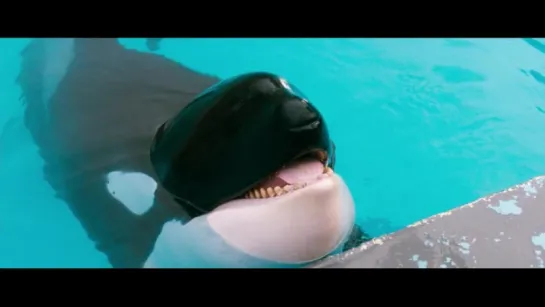 Освободите Вилли / Free Willy (1993) Жанр: драма, приключения, семейный