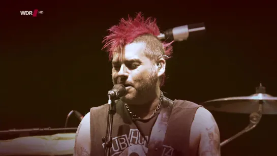 NOFX - Rockpalast Serengeti Festival 2014