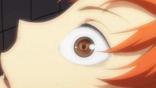 Hinata Shoyo AMV It Has Begun