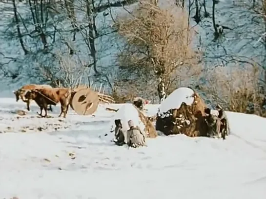 Казаки насилуют кавказскую самку