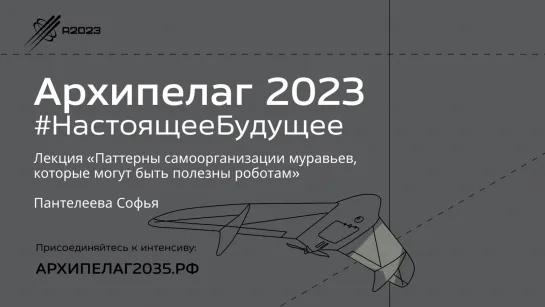 Лекция «Паттерны самоорганизации муравьев, которые могут быть полезны роботам» Пантелеева Софья