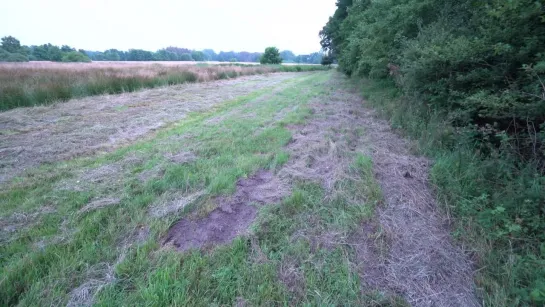 18yo Slut Gets Fucked Out In The Fields And Nearly Got Caught Twice, Facial - 2160p