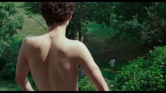 Mystery of Love - Sufjan Stevens MUSIC VIDEO (Call Me By Your Name)