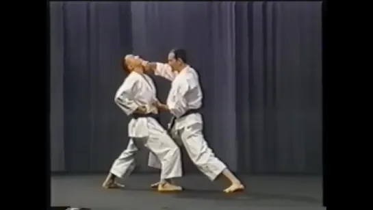 Karate_ Tetsuhiko Asai - Kihon and Kata