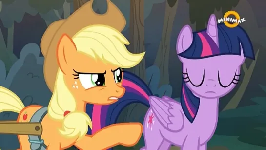 My Little Pony: Friendship Is Magic 8x13 The Mean 6