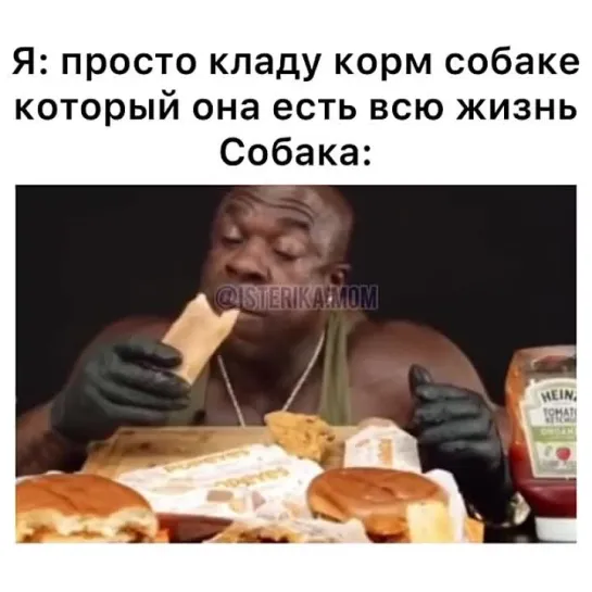 Удивляюсь своему псу