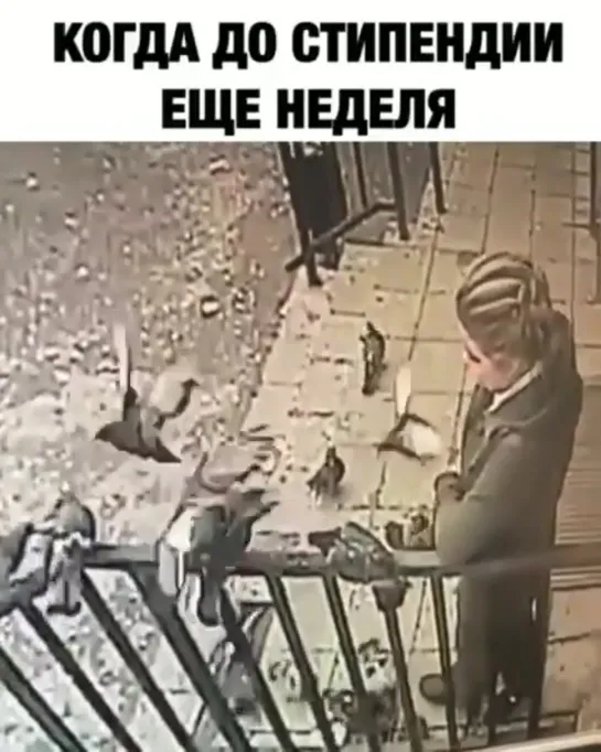 Денег нет, но вы держитесь