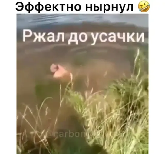 Мощный прыжок в воду